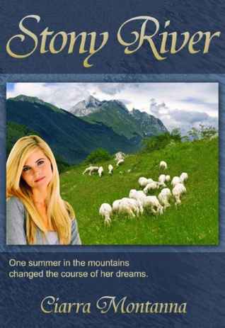 Stony River (Paperback)