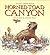 Horned Toad Canyon