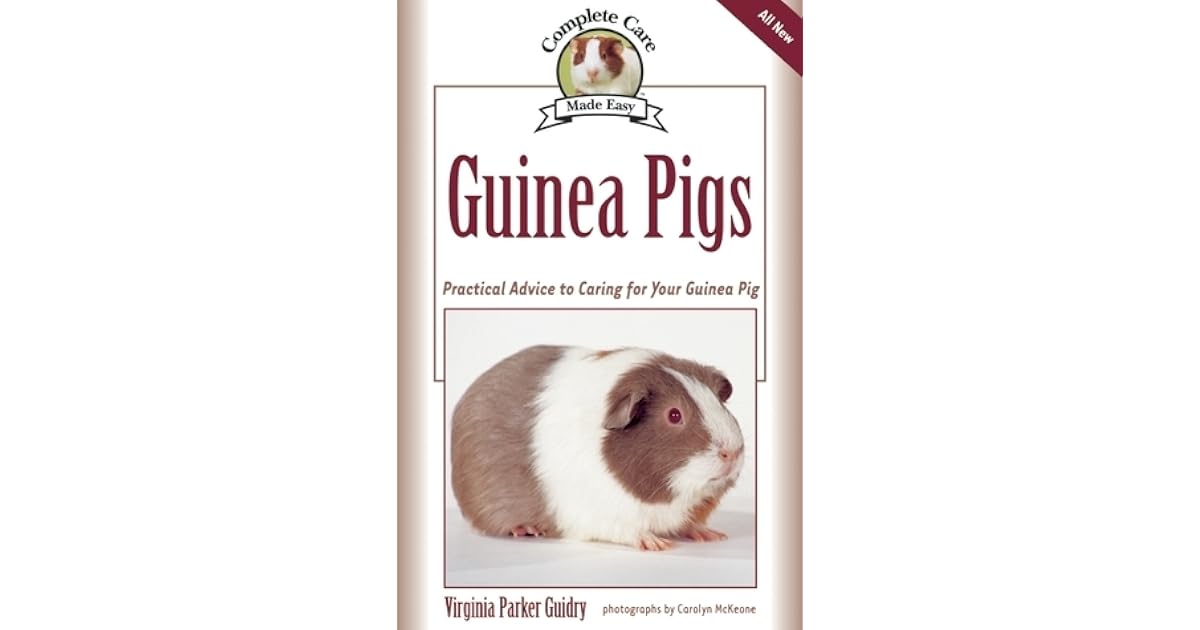 Guinea Pigs: Complete Care Made Easy-Practical Advice To Caring For ... - Exploring Practical Guinea Pig Internet Advice