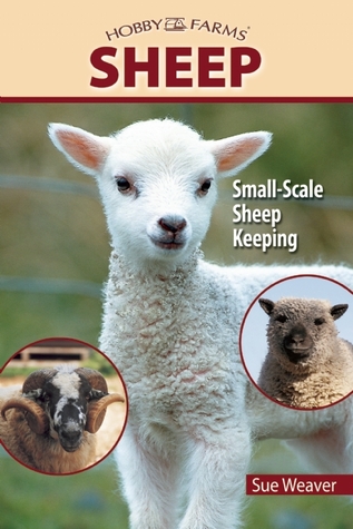 Sheep: Small-Scale Sheep Keeping For Pleasure And Profit