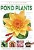 Pond Plants