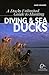 A Ducks Unlimited Guide to Hunting Diving Ducks & Sea Ducks