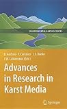 Advances in Research in Karst Media (Environmental Earth Sciences)