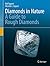 Diamonds in Nature: A Guide to Rough Diamonds