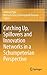 Catching Up, Spillovers and Innovation Networks in a Schumpet... by Andreas Pyka