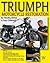 Triumph Motorcycle Restorat...