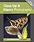 Close Up & Macro Photography (Expanded Guides - Techniques)