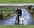 Ireland by Gerald Hoberman