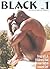 Black: The African Male Nude in Art & Photography, Vol. 1