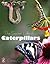 Secret Life of Caterpillars