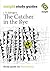 The Catcher in the Rye (Insight Study Guides)