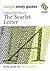 The Scarlett Letter (Insight Study Guides)