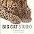 Big Cat Studio