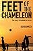 Feet of the Chameleon: The Story of African Football