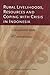 Rural Livelihoods, Resources and Coping with Crisis in Indonesia: A Comparative Study (ICAS Publications series)