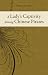 A Lady's Captivity Among Ch...