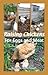Raising Chickens for Eggs and Meat