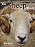 The Sheep Book for Smallholders