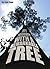 My Journey with a Remarkable Tree