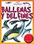 Ballenas y delfines (Pequeñ...