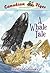 A Whale Tale (Canadian Flye...