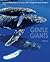 Gentle Giants: An Emotional Face to Face with Dolphins and Whales