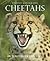 Wildlife Monographs:Cheetahs