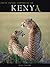 Kenya by Alain Pons
