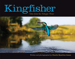 Kingfisher: Tales from the Halcyon River (Hardcover)