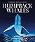 Humpback Whales (Wildlife Monographs)