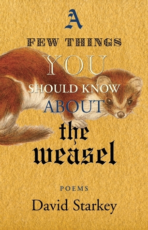 A Few Things You Should Know About the Weasel (Paperback)
