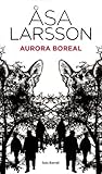Aurora boreal by Åsa Larsson