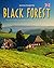 Journey Through the Black Forest (Journey Through series)