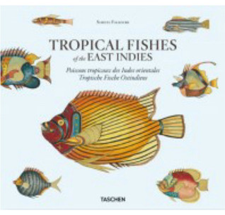 Samuel Fallours: Tropical Fishes of the East Indies