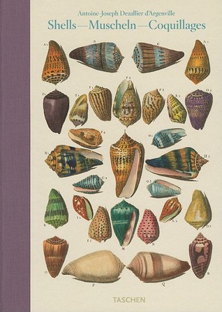 Shells / Muscheln / Coquillages: Conchology, or The Natural History of Sea, Freshwater, Terrestrial and Fossil Shells (Hardcover)