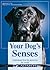 Your Dog's Senses: Understa...