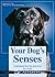 Your Dog's Senses by Brigitte Rauth-Widmann