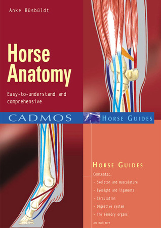 Horse Anatomy: Easy-to-Understand and Comprehensive