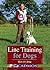 Line Training for Dogs: How It's Done