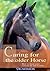 Caring for the Older Horse: How to Keep Your Veteran Fit and Healthy