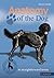 Anatomy of the Dog: In Straightforward Terms
