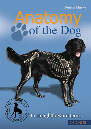 Anatomy of the Dog: In Straightforward Terms (Paperback)