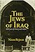 The Jews of Iraq by Nissm Rejwan