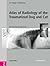 Atlas of Radiology of the Traumatized Dog and Cat: The Case-Based Approach