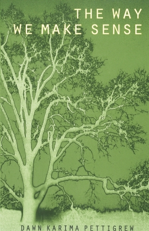 The Way We Make Sense (Paperback)