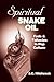 Spiritual Snake Oil by Chris Edwards