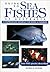 Guide to Sea Fishes of Australia: A Comprehensive Reference for Divers and Fishermen