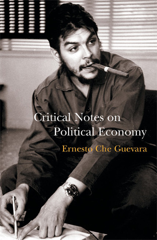 Critical Notes on Political Economy: A Revolutionary Humanist Approach to Marxist Economics