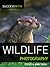 Success with Wildlife Photography
