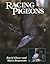 Racing Pigeons